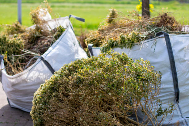 Best Basement Cleanout Services  in Isanti, MN